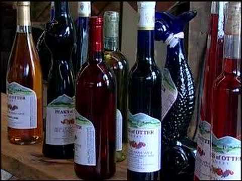 Virginia Farm Bureau - Peaks of ...