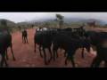 videos de Dakshinamurthy.mp4