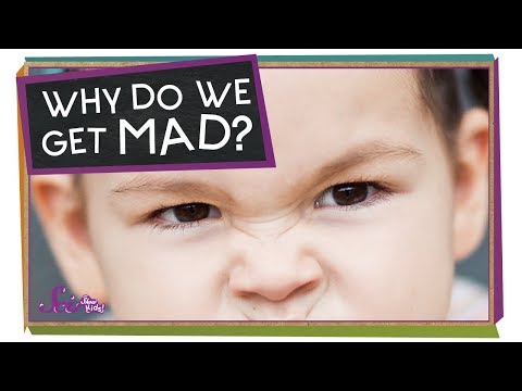Unit 09-Why Do We Get Mad? Thumbnail