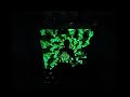 2sleepy - Blade-Thoughts (live 19-02-2007) 2sleepy - Blade-Thoughts (live 19-02-2007)