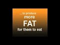 Fast weight loss program