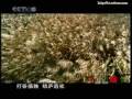 公元645年，玄奘携带8尊佛像...