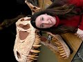 Dinosaurs Rock School Assembly