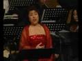 Dilber Yunus - Longing 思恋