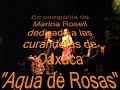 Lila Downs (Resumen Recital en BCN) 23 Nov 2006