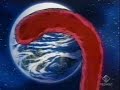 Dragon Ball , Z , GT