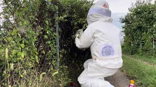 動画のサムネイル