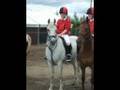 Westmeath Pony Club Camp 08!!!!