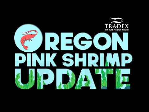 3MMI - Oregon Pink Shrimp Fishery Update