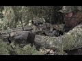 Benelli\ Benelli\