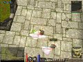 pvp priston xpt caipira1 pvp priston xpt caipira1