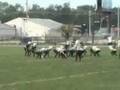 videos de purdue vs Hawaii