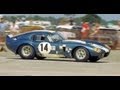 Shelby Ghost Is Everywhere In Racing - SHAKEDOWN