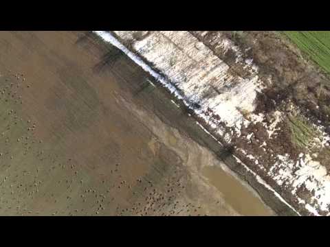 Виж видео клипа