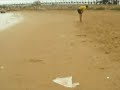 Playa De Acequion