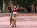 Dog Dancing