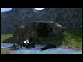 Halo 3 Epic Banshee Crash