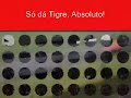 Tigrão 2x2 lagartixa Tigrão 2x2 lagartixa