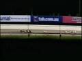 videos de 2008 Melbourne Cup Heat 6