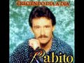 vivir sin ti rabito