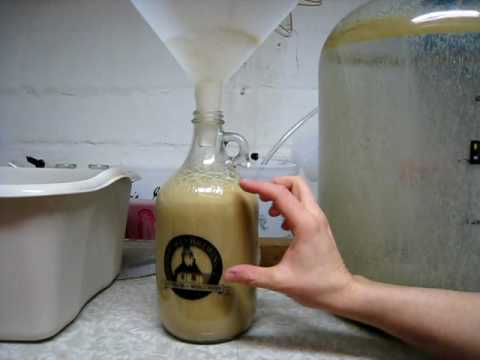 how to harvest yeast slurry