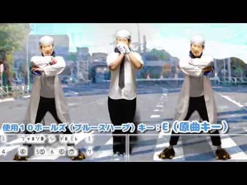 動画