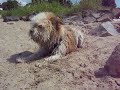 Chandini on vacation at the beach