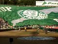 TUP - Palmeiras