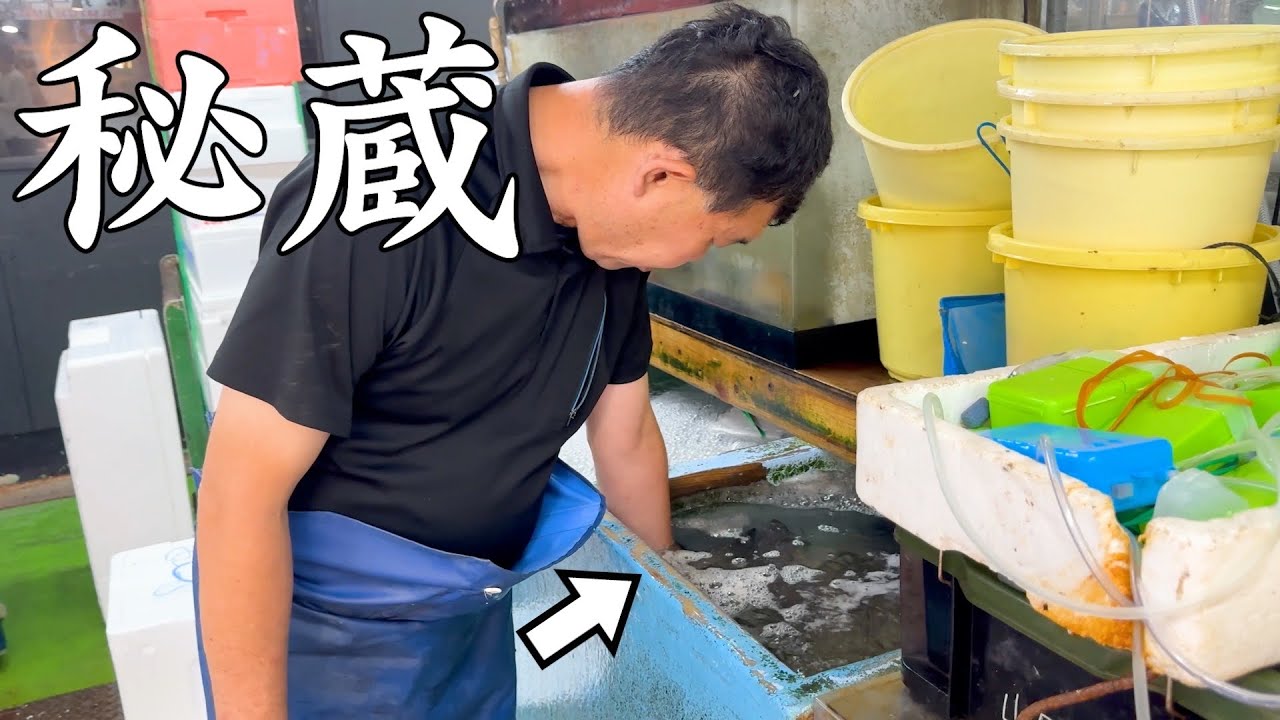 動画2
