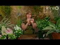 Sharon Truett on shade for drought: Central Texas Gardener