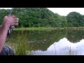 Tench and Bream Fishing at Canol Fishery