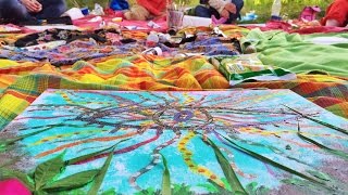 Retour en vidéo sur la journée Se ressourcer, communiquer et créer avec les Êtres de la Nature du di