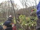 2008WRC RD14 RallyJapan \"Op\" & \"SS4 Pipaoi\"