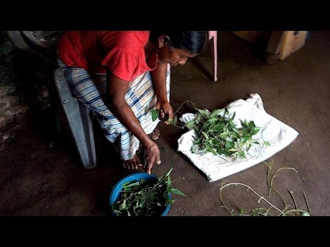 Water spinach with coconut