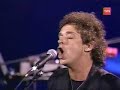 Cerati Vi�a 01. Medium