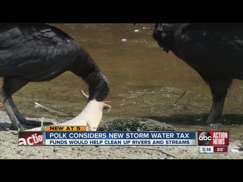 tax - Residents in unincorporated Polk County may soon be paying for a new tax to help clean up the county's dirtiest rivers, lakes, and streams.