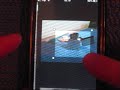 Photo Gene iPhone App Review AppleAppInsider