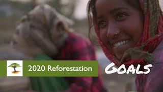 2020 Reforestation Goals