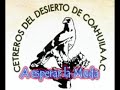 Cetreria Coahuila, Temporada 2007 - 2008