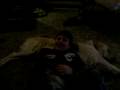 videos de bedtime stories