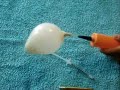 Oxigenador casero para Sea Monkeys  --- Home Made Air Pump