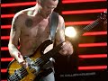 CHILI PEPPERS RED HOT SILVERLAKE PEARL JAM TO SAVE MUSIC