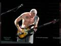 CHILI PEPPERS RED HOT SILVERLAKE PEARL JAM TO SAVE MUSIC