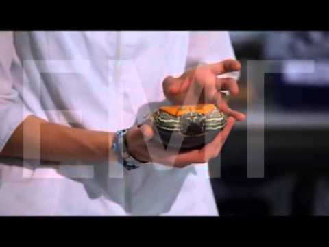 Правильное кормление черепах