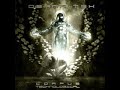 Derma-Tek - corpus technological