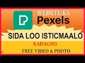 Sida loo isticmaalo website-ka Pexels. sida loo helo free video & photo