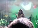 Within temptation - What Have You Done at 013 22-11-07 Within temptation - What Have You Done at 013 22-11-07