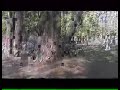 Failed (upload aborted)