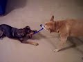 Tate and Daisy Fuentes