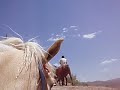 Horse riding in the Shapotou\